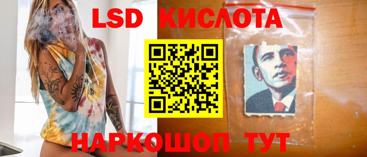 Псилоцибиновые грибы Елец