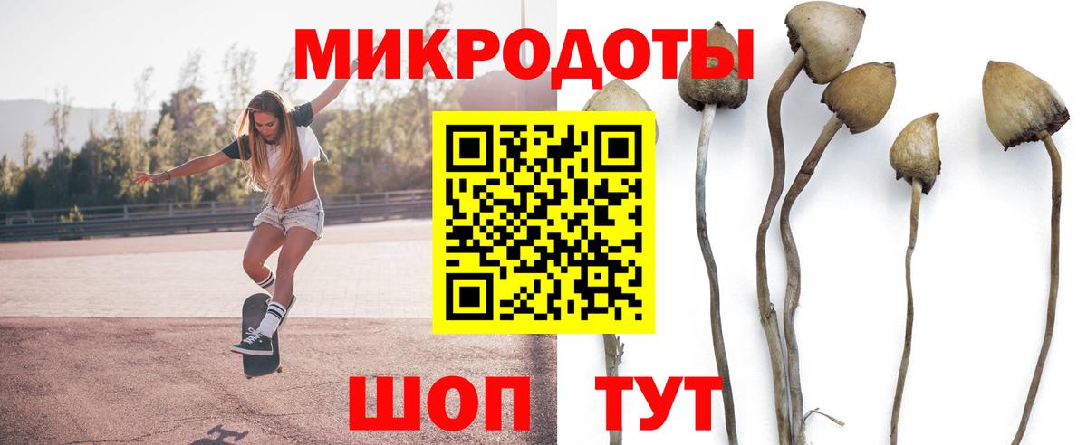 Галлюциногенные грибы Cubensis Елец