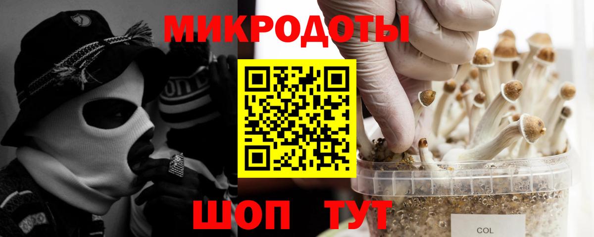 Елец  Псилоцибиновые грибы прущие грибы  купить наркоту  Вход с VPN 